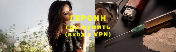 хмурый Белокуриха