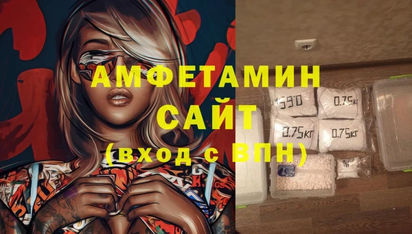 ПСИЛОЦИБИНОВЫЕ ГРИБЫ Богданович