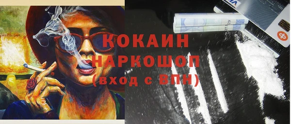 хмурый Белокуриха