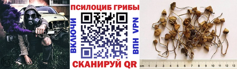 Псилоцибиновые грибы мицелий  Улан-Удэ 